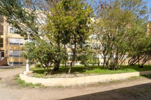 A garden outside Hotel La Mota by Punta25 Hotels Group