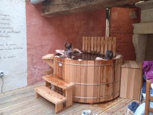 dois cães sentados numa banheira de hidromassagem de madeira em Le patio de Xénia em Charité-sur-Loire