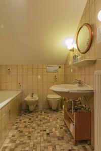 a bathroom with a sink and a toilet and a mirror at Ferienwohnung Sigrid & Ferdinand BERGINC in Hollenstein an der Ybbs