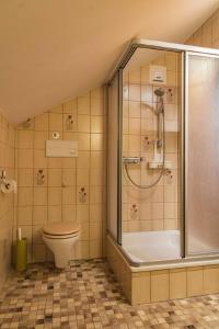 een badkamer met een douche en een toilet bij Ferienwohnung Sigrid & Ferdinand BERGINC in Hollenstein an der Ybbs
