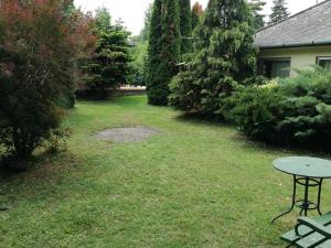 a yard with a table in the grass at Balatonszemesi Vendégház in Balatonszemes