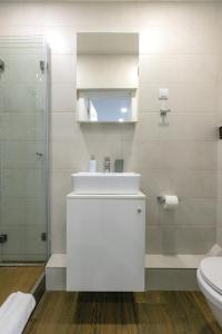 ein Badezimmer mit einem Waschbecken, einem WC und einem Spiegel in der Unterkunft Apartment Sovre in Belgrad