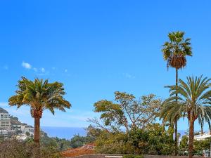 Kép Apartamentos Laguna szállásáról Puerto Rico de Gran Canaria városában a galériában
