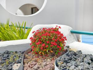 Kép Apartamentos Laguna szállásáról Puerto Rico de Gran Canaria városában a galériában