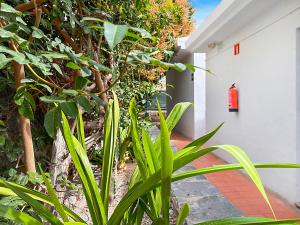 Kép Apartamentos Laguna szállásáról Puerto Rico de Gran Canaria városában a galériában
