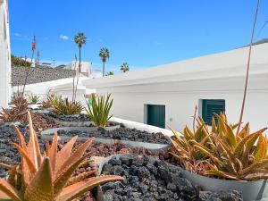 a garden in front of a white house with plants at Apartamentos Laguna in Puerto Rico de Gran Canaria