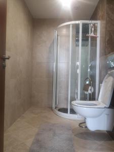 a bathroom with a shower and a toilet and a sink at QUEEN'S VIEW app-9 free pool,parking, fitness & sea view in Balchik