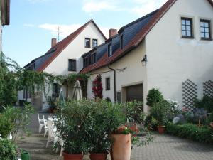 a white house with potted plants in front of it at Gasthof zur Schwane in Abtswind