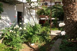 Zahrada ubytování Apartment Orebic 4526b