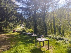 uma fila de mesas num campo com árvores em Hostal La vall em Sant Pau de Segúries