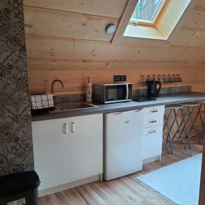 a kitchen with a counter with a microwave and a sink at Apartamenty u Pietrka in Kościelisko