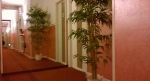 Fotografie z fotogalerie ubytování Hotel Rosy v destinaci Arluno