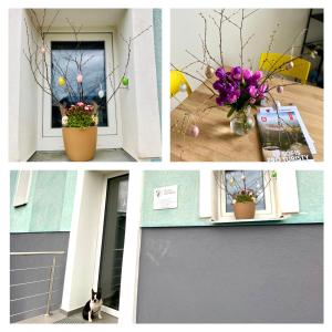een collage van vier foto's met bloemen in een raam bij Berta's Apartments in Děčín