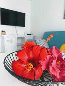 Telewizja i/lub zestaw kina domowego w obiekcie Red Hibiscus Corralejo iRent Fuerteventura