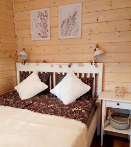 - une chambre avec un lit et 2 oreillers dans l'établissement ŁAP LAS Wiktorowo, 