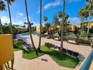 an aerial view of a resort with palm trees and a pool at Garden and relaxation house, 1 bedroom, Wifi, swimming pool in Corralejo