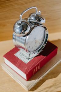 MalschにあるWeinberg Chaletsの本の積み重ねに座る目覚まし時計