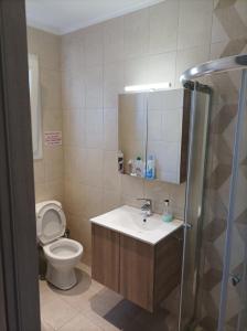 a bathroom with a toilet and a sink and a shower at Alimos Apartments in Athens