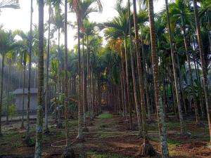 Galeriebild der Unterkunft Green Woods Resort Near Kashid beach in Kashid + 7 Fotos