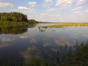 a lake with trees and clouds in the water at Siedlisko Gródek Dwór 