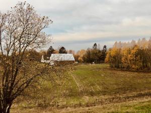une ancienne grange dans un champ avec un arbre dans l'établissement Prosinko 25, 
