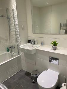 a bathroom with a sink and a toilet and a mirror at Snapos Apartments - Platform A in Bedford