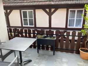 a patio with a table and a potted plant at Gasthaus zur Sonne in Rhodt unter Rietburg