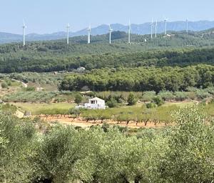 Príroda v okolí vily