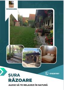 a collage of pictures of a yard with a house at Vila Sura Razoare in Sighişoara