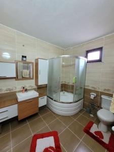 a bathroom with a shower and a toilet and a sink at Trabzon Deniz Manzaralı villa in Araklı