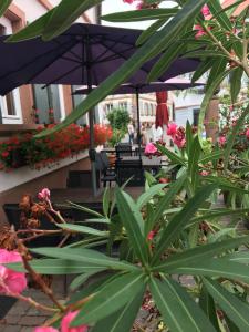 patio z parasolem oraz roślinami i kwiatami w obiekcie Gasthaus zur Sonne w mieście Rhodt unter Rietburg