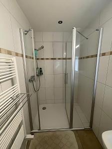 a shower with a glass door in a bathroom at Ultra Luxurious House Lake view in Niederried