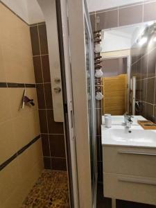 a bathroom with a shower and a sink and a shower at Résidence Les Marines Magnifique T3 in Saint-François