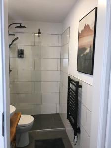 a bathroom with a toilet and a picture on the wall at Gemütliches Apartment am Kurhaus in Dobel in Dobel +27 photos