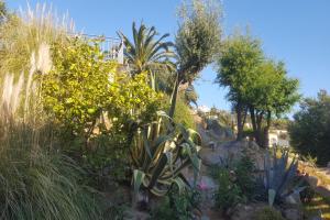 A garden outside Club Villamar - Bordeus