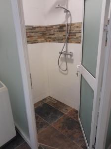 a shower in a bathroom with a glass door at Royal View Residence in Meerzorg