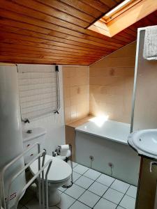 y baño con aseo, bañera y lavamanos. en Apartment Gîte Luvain Toulouse, en Toulouse