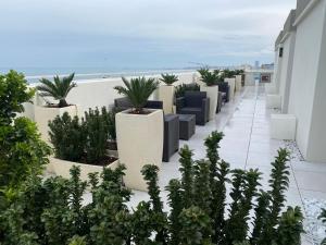 uma fila de plantas num edifício com a praia ao fundo em Hotel Byron em Rimini