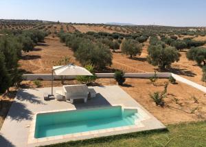 einen Blick über einen Pool mit Sonnenschirm und Couch in der Unterkunft Cheerful 2-bedroom Villa with pool 