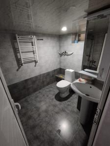 a bathroom with a toilet and a sink at Wooden_Room_Hostel in Yerevan