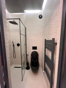 a bathroom with a black toilet in a room at Dream Home in Turda