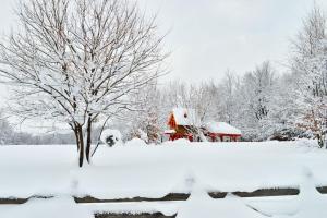 einen schneebedeckten Hof mit einem roten Haus und einem Baum in der Unterkunft Treehouse Bosnia in Trnovo
