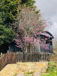 einen Baum mit rosa Blumen hinter einem Holzzaun in der Unterkunft The Cherry Tree Gypsy Wagon in Banbury