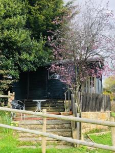 a fence with a table and a tree with pink flowers at The Cherry Tree Gypsy Wagon in Banbury