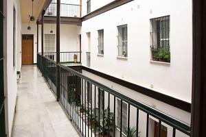 un couloir vide d'un bâtiment avec des plantes dans l'établissement Apartamento Calle Feria, à Séville