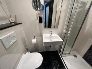 La petite salle de bains est pourvue de toilettes et d'un lavabo. dans l'établissement Great St Helen Hotel, à Londres