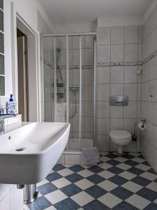 a bathroom with a shower and a sink and a toilet at Altenberger Stadtvilla in Dresden