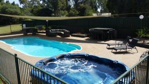 The swimming pool at or near Early Settlers Motel Tocumwal