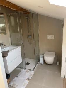 a bathroom with a shower and a toilet and a sink at Duplex place des lices in Saint-Tropez