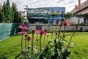 un giardino con fiori rosa in un cortile di Hotel Squash Dependance a Prievidza